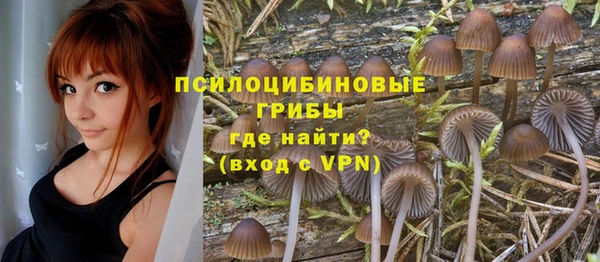 первитин Армянск