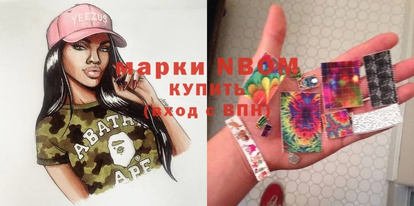 сатива Арсеньев