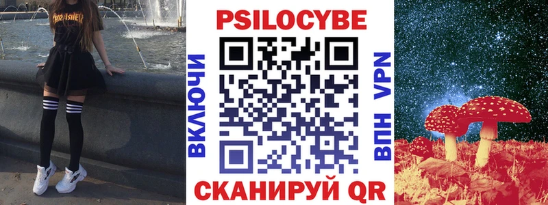 Псилоцибиновые грибы Cubensis  закладки  Буй 